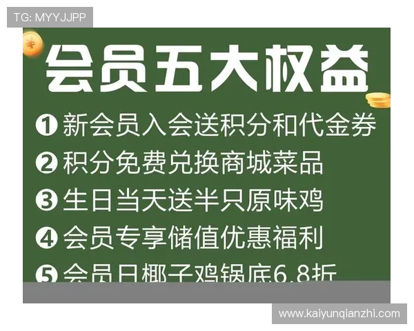 开云会员尊享权益全面解析助你轻松掌握会员专属福利提升游戏体验